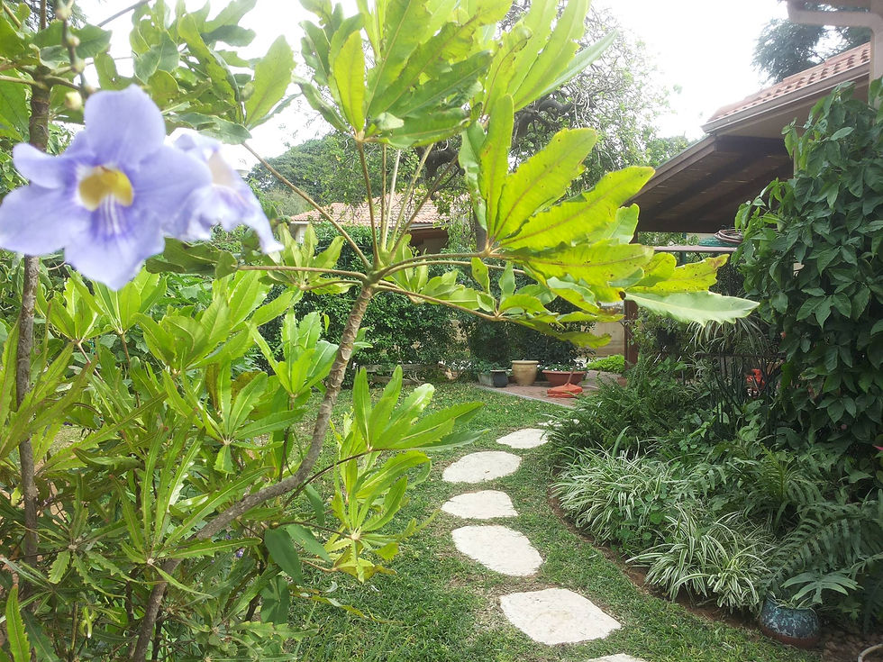 גבעת חיים מאוחד 1