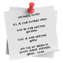 website note (23).png