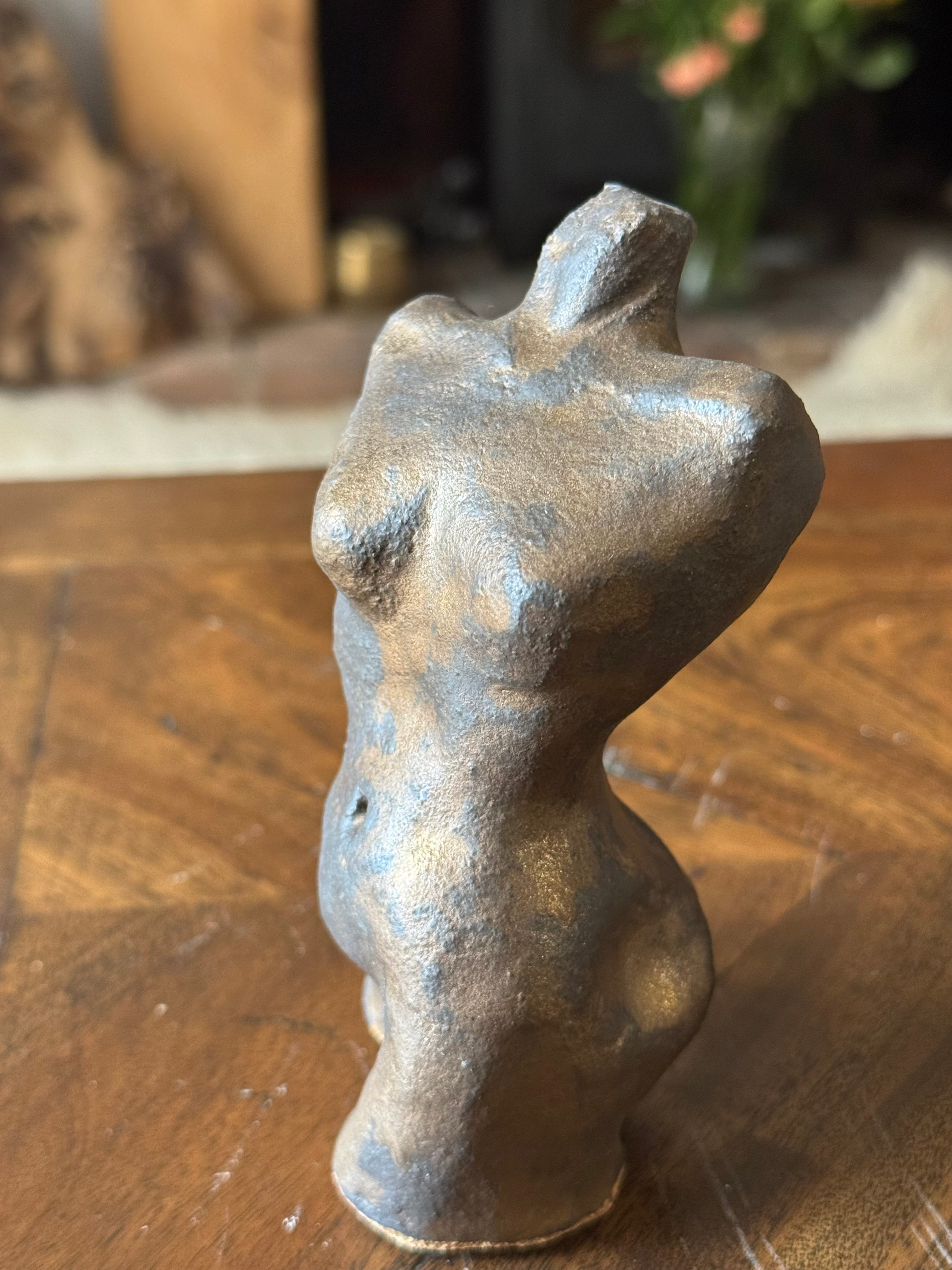 Female torso 3