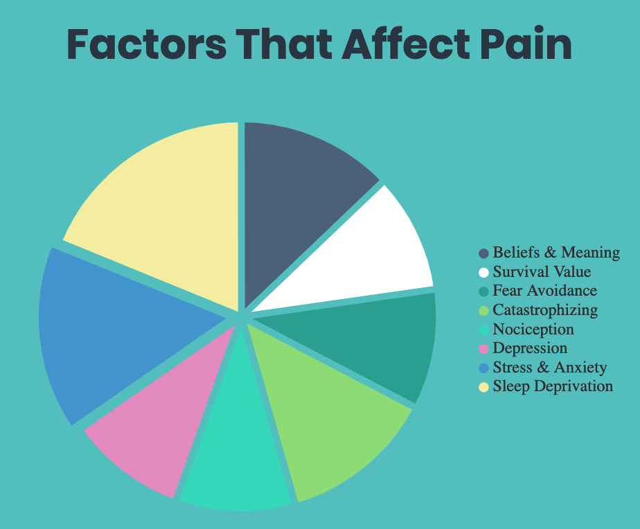 factors that affect pain