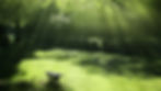 Park bench in sunlight garden