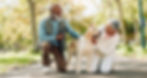 Love, senior couple and pet outdoor on walk together for group exercise, health and wellne