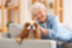 Senior woman with cute cavalier King Charles spaniel dog sitting on sofa at home