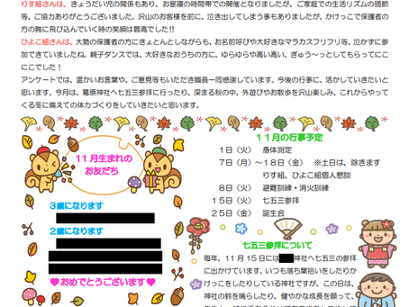 11月