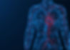 02Sept22_effect-of-non-cardiovascular-drugs-on-cardiovascular-system_iStock-1354064071.jpg