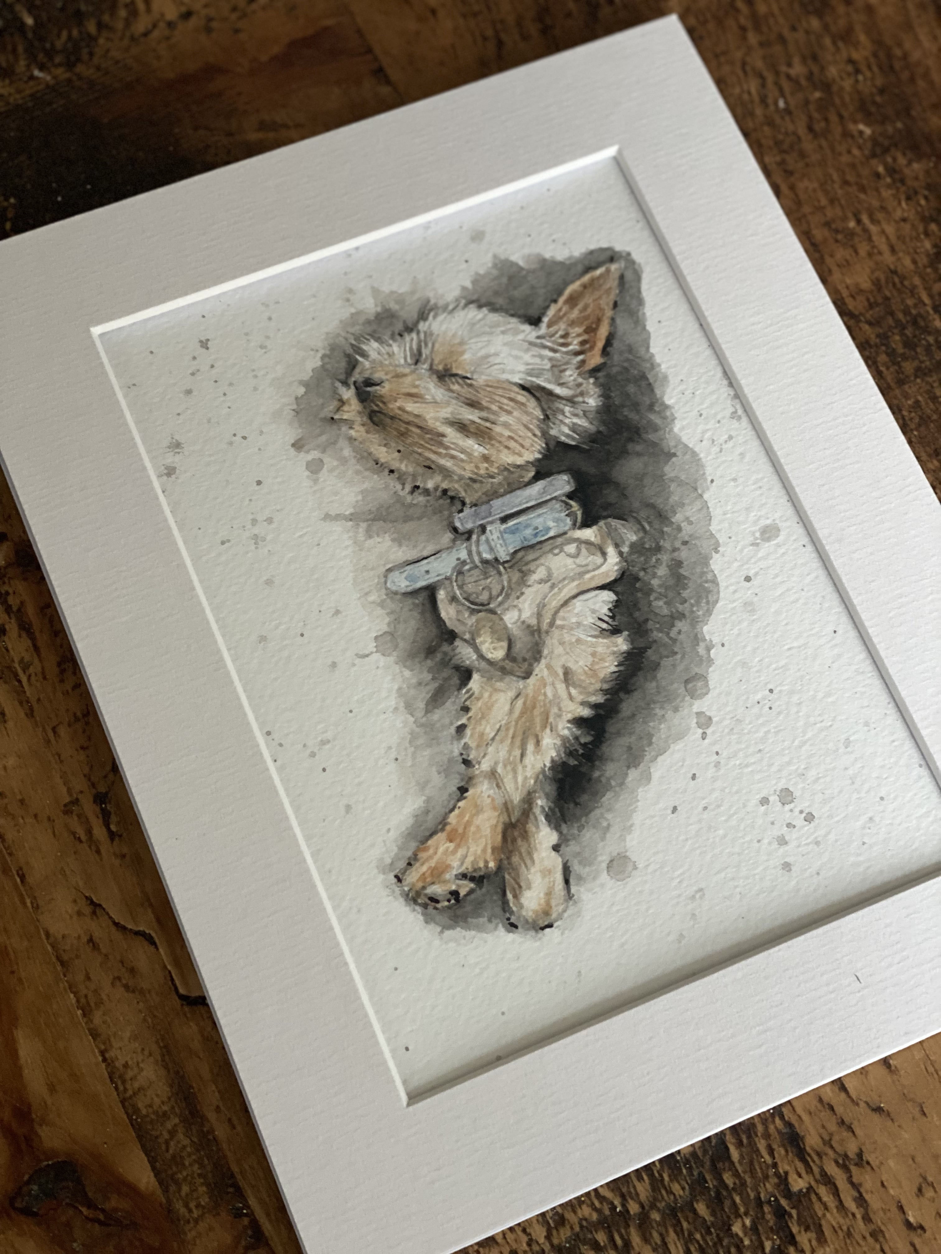 A5 Pet Portrait