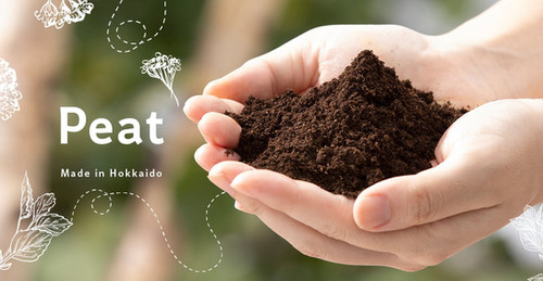 SARORO PEAT WASH 泥炭洗顔パック | ホロカル公式ホームページ