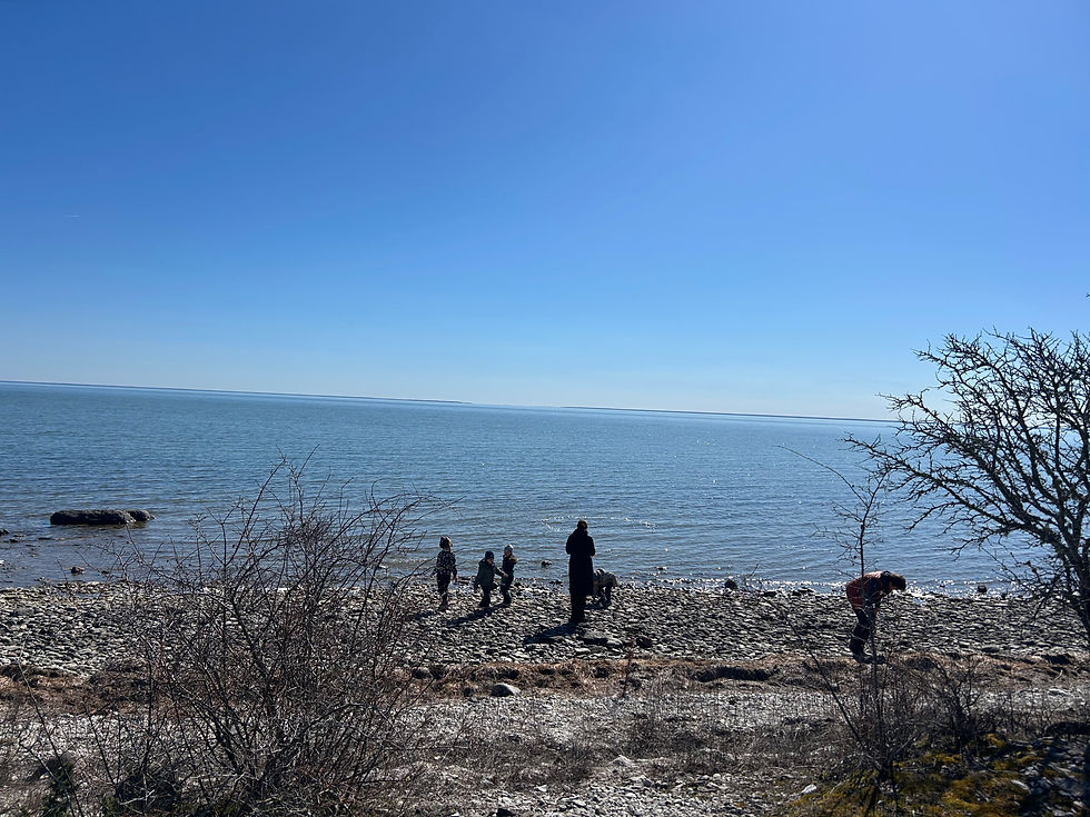 Koju tulemine ja koju jõudmine