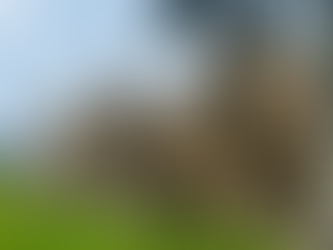 Vennad ehitavad siin paljajalu ikka paremini kui Hispaanias