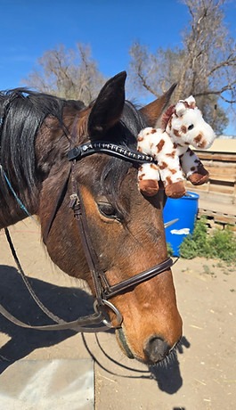 Outlaw and stuffie.jpg