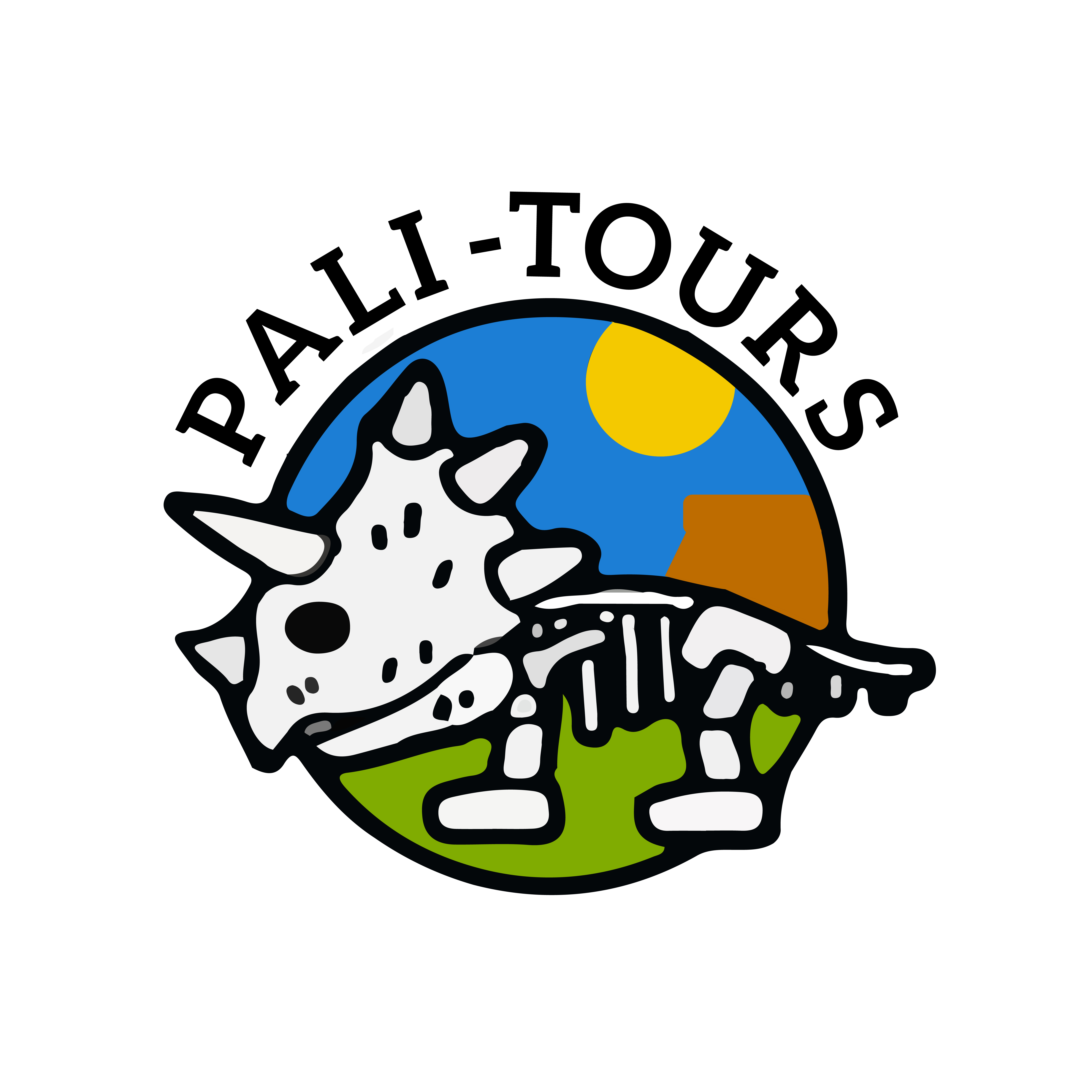 Pali-Tours Ltd logo