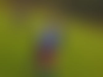 Tigres Não Pontua na Primeira Rodada