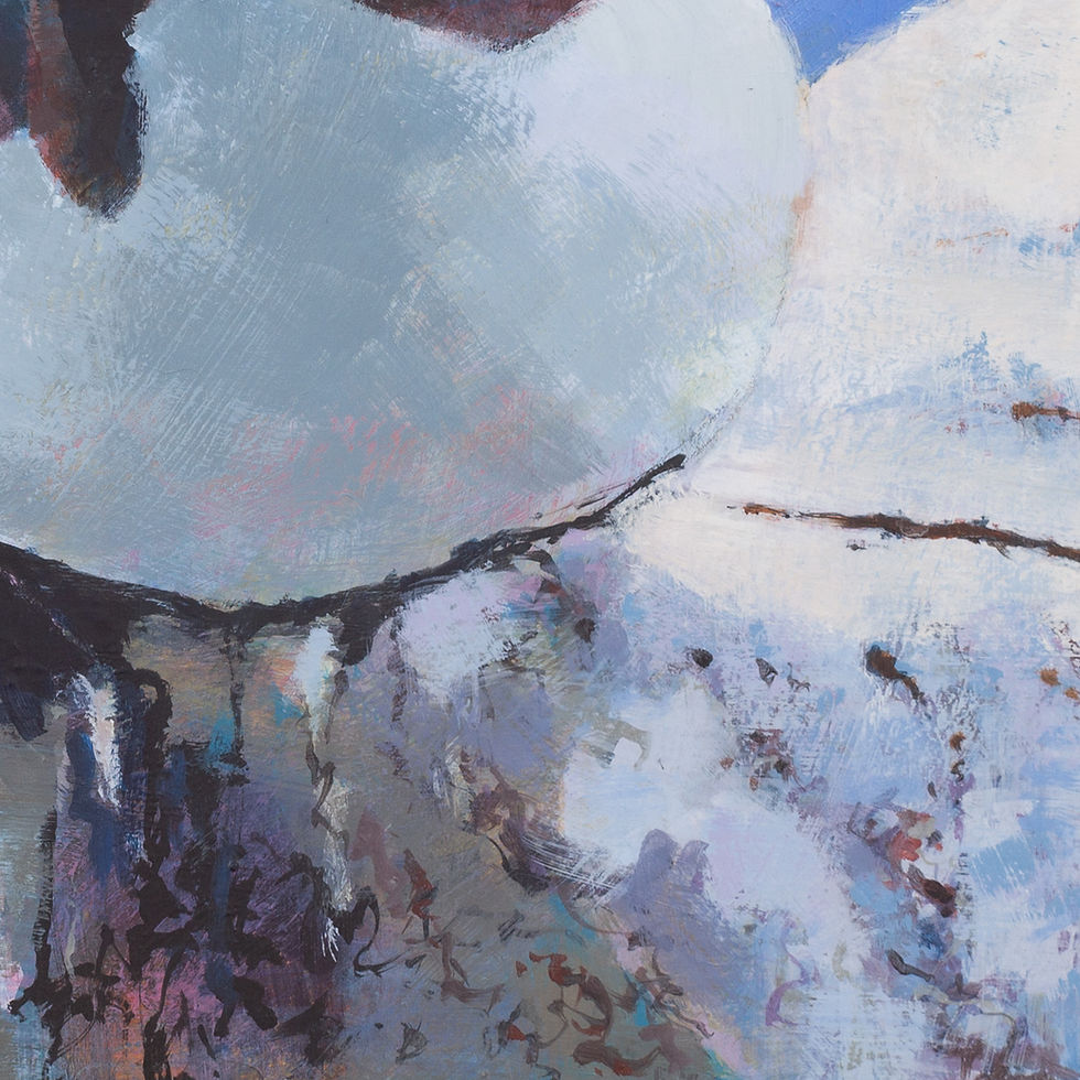 Thumbnail: Razorbill