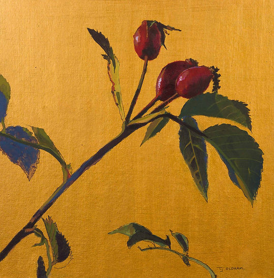 Rose hips on gold