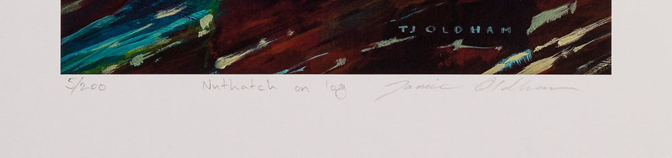 Thumbnail: Nuthatch on log, signed limited edition giclee print