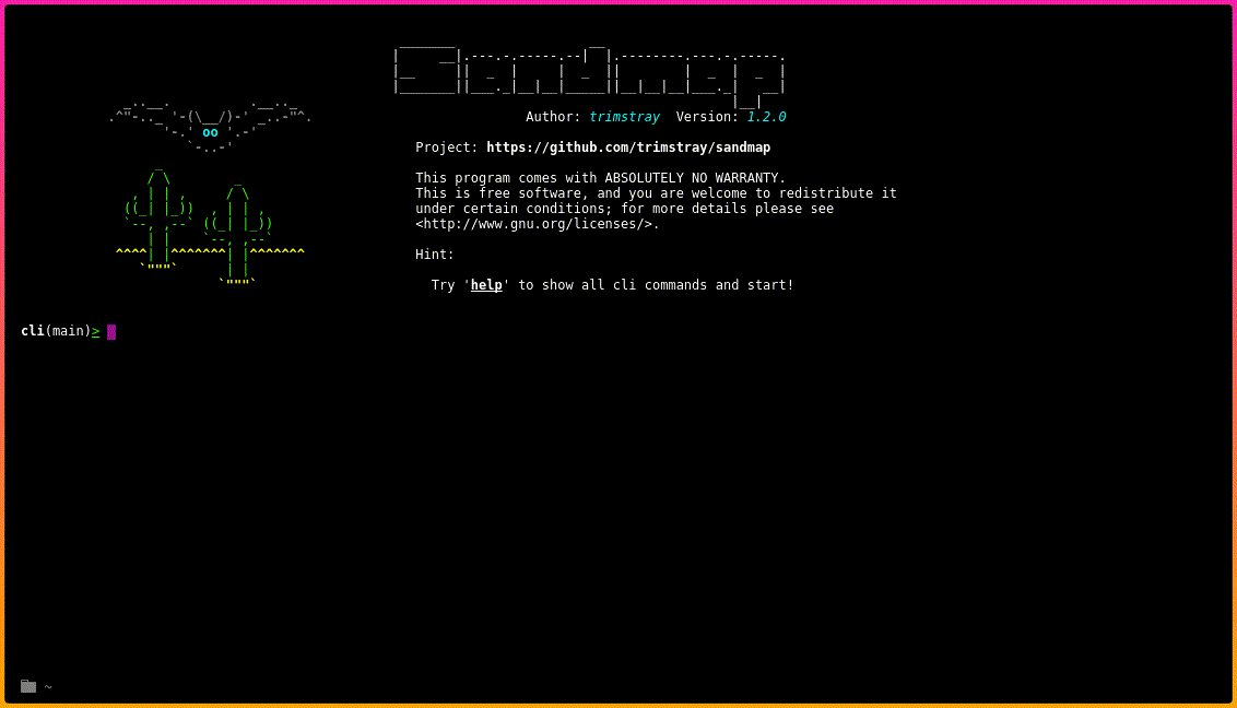 Sandmap : Supporting Network and System reconnaissance using the massive Nmap Engine