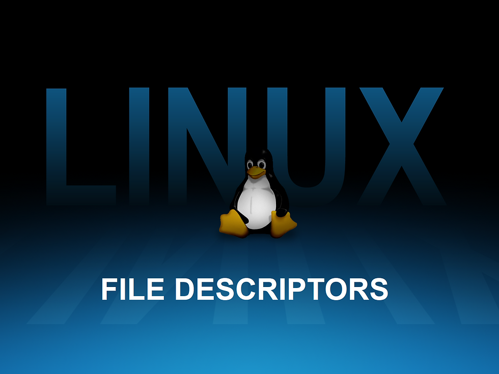 LINUX FILE DESCRIPTORS