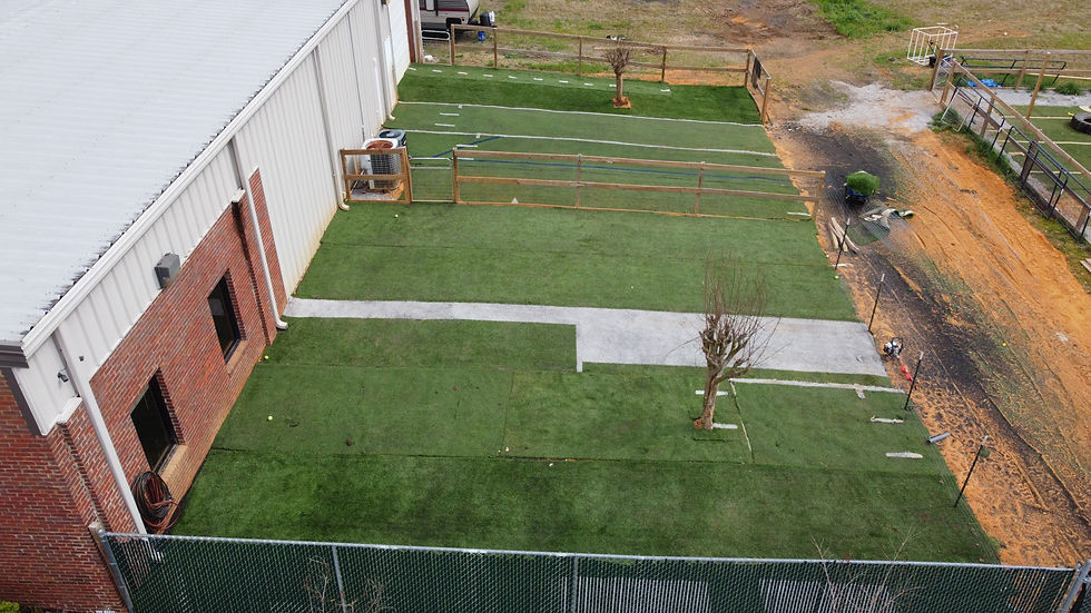 Home BJ's Dog Grooming