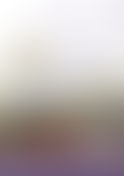 Memorias del V COSAVI en resistencia