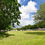 Thumbnail: St. Brides Way, Bothwell, Glasgow