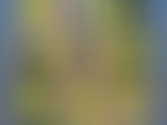 L’hôtel des deux mondes  (saison  2025)