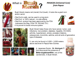 About Buah Merah Mix