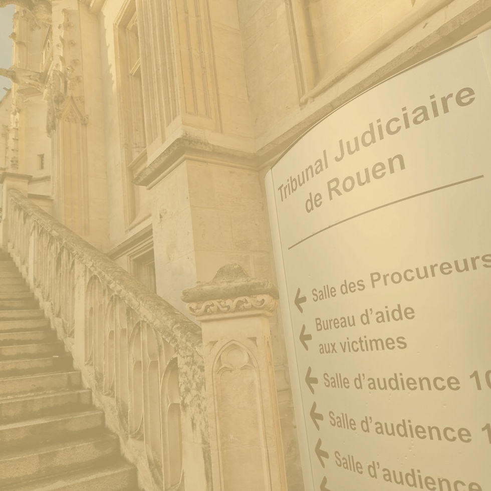 tri-rouen_edited_edited.jpg