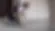 glo-screed-floor-application-03_16-9.webp