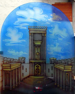 ויטראז' דלת