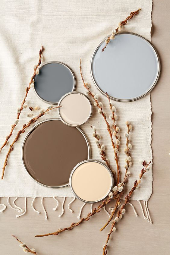 warm and inviting paint colour palette flat lay