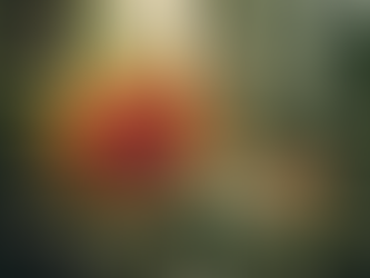 Exploring Nature and Consciousness Through Aliveness Initiative