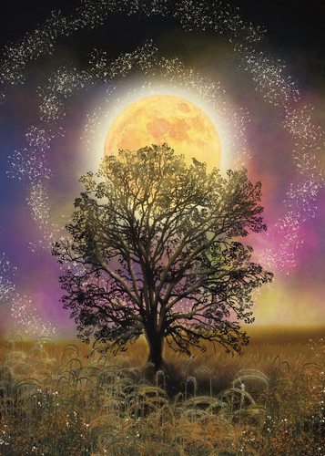 Full Moon Blessings Greeting Cards, Celestial Cards For All