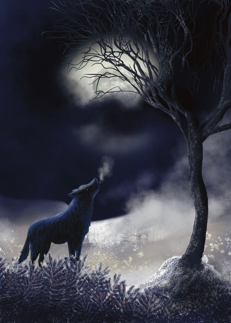 Wolf Moon - print by Naomi Walker