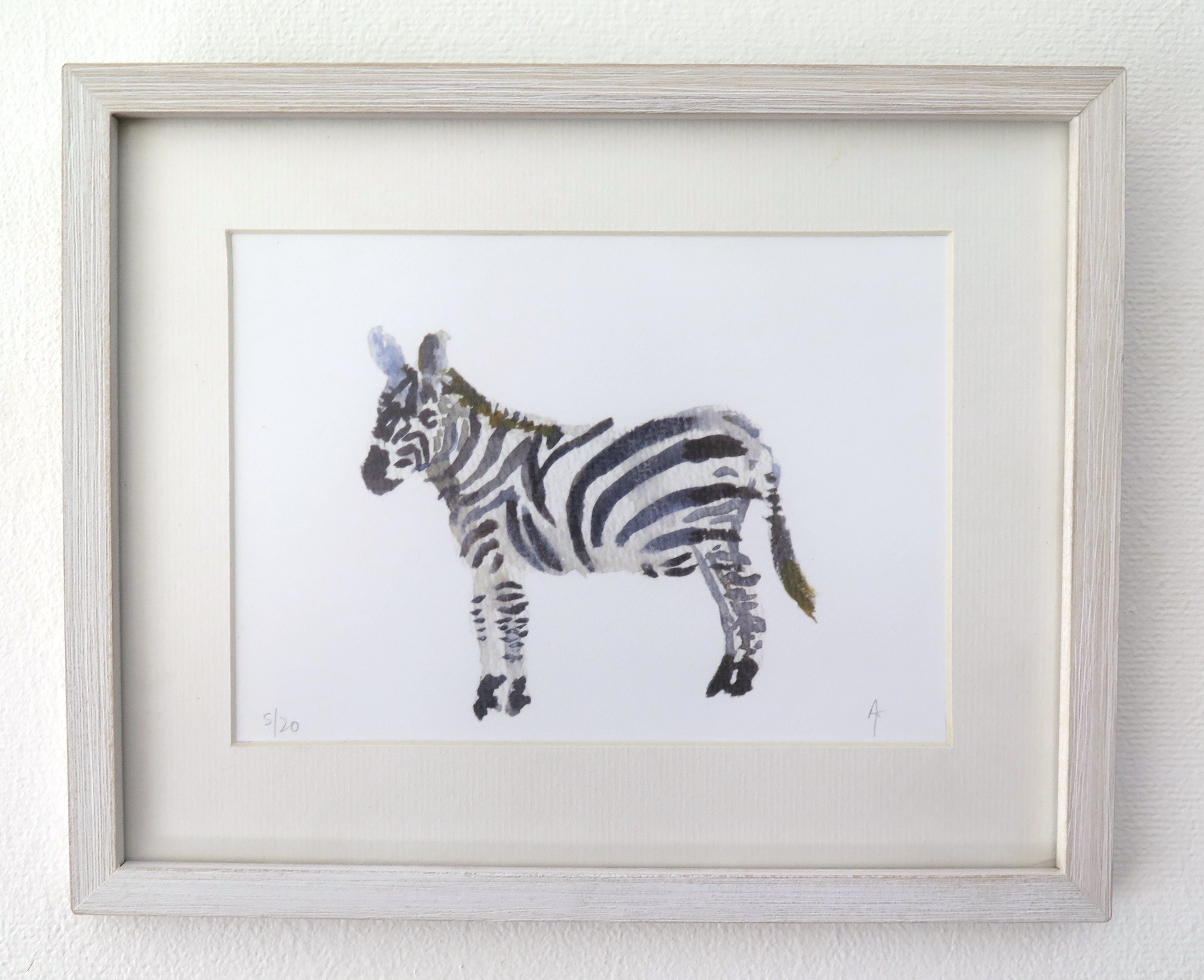 Zebra