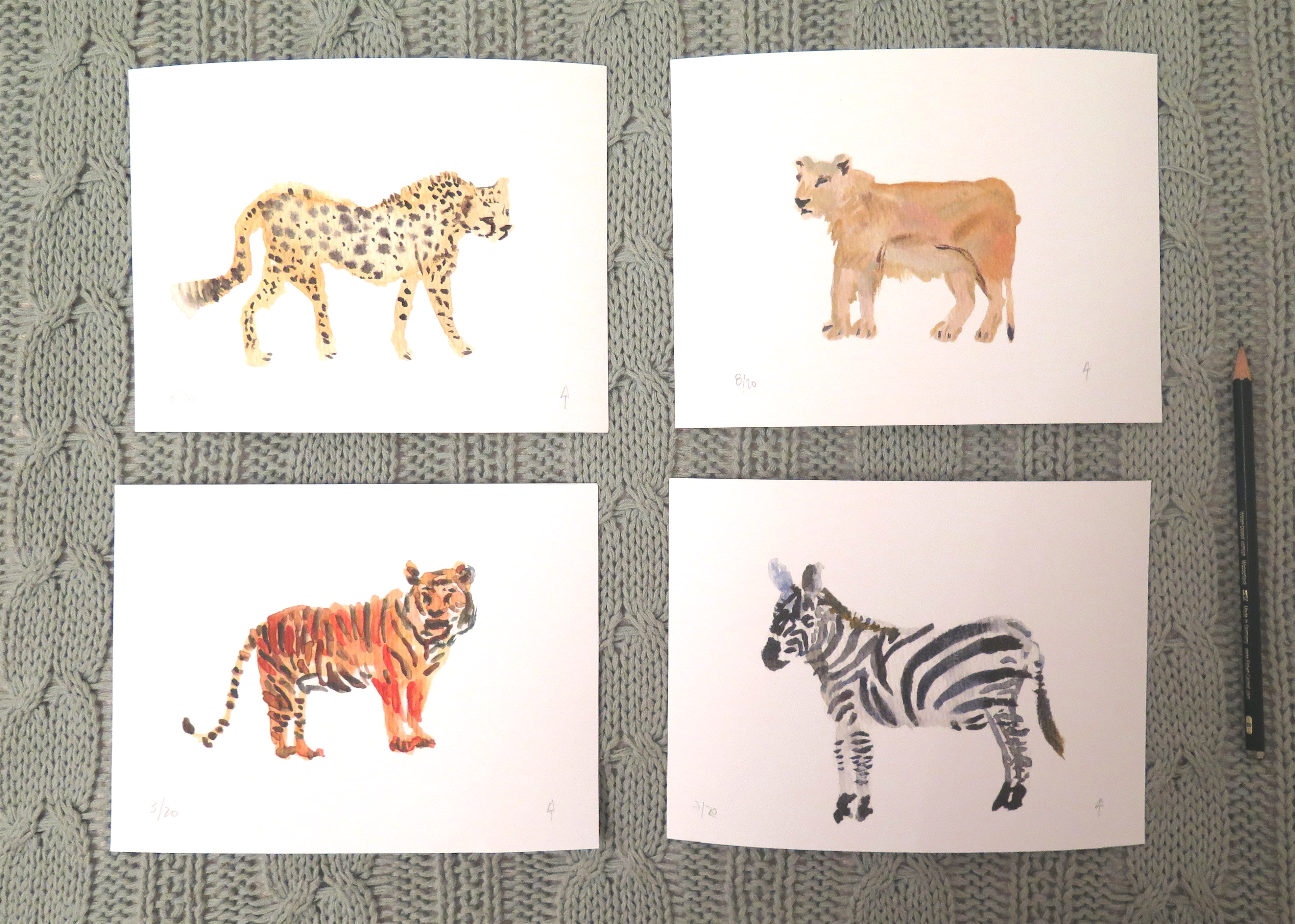 kit animales salvajes