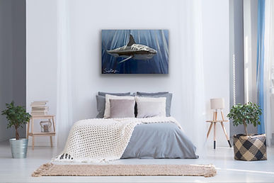 Great white shark camvas print by sarah mattinson