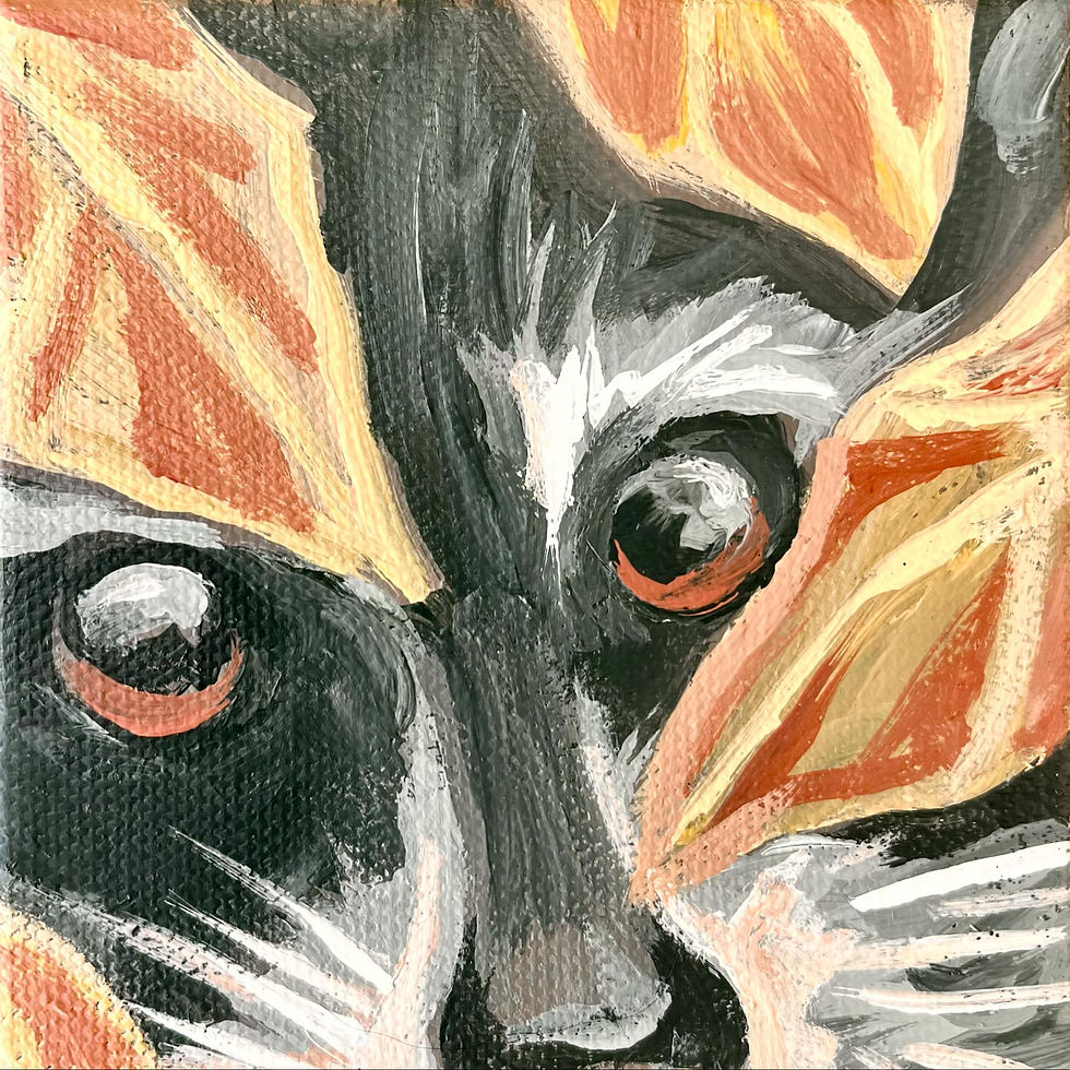 Thumbnail: Halloween raccoon mini painting 4x4" by Sarah Mattinson - baby racoon art