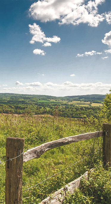 A wooden fence post and country gate looking out over bright green rolling hills under a blue sky, representing G&S service areas in Surrey and Hampshire.
