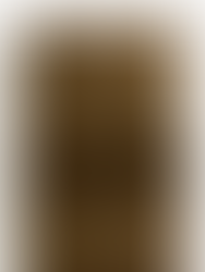 Fringed Blanket - H&M £19.99