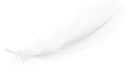 Feather - Babyama Women wellness & Paediatric centre