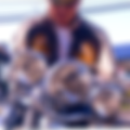 88eb38d2-ce18-4074-8023-bfd809b0d3a1.png