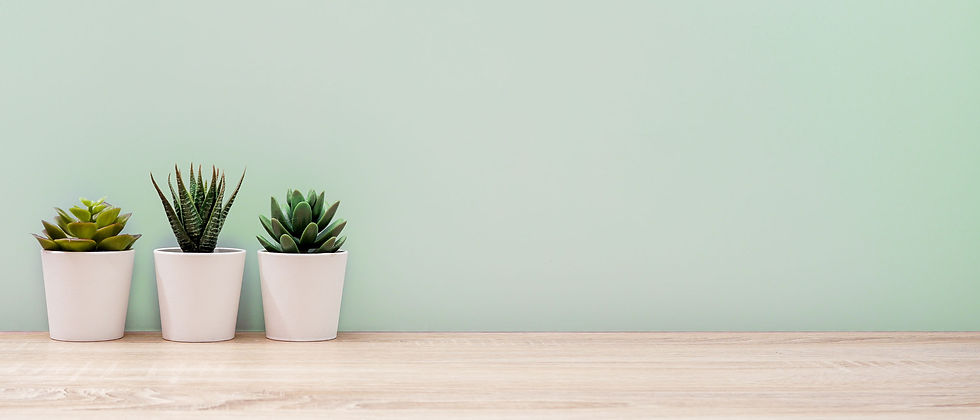 service_AdobeStock_260541219_beschn.jpg