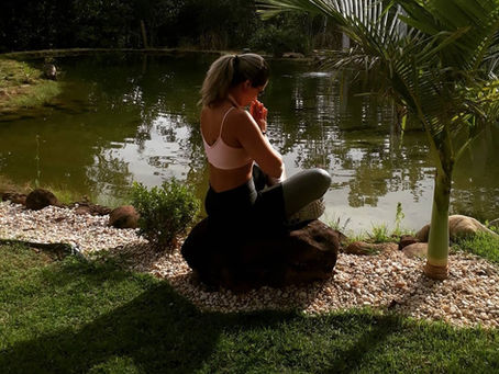 Por que meditar?