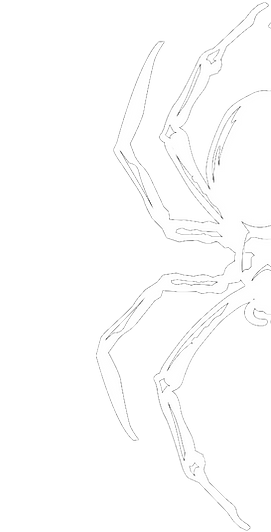 favicon_edited_edited.png