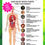 Thumbnail: Herbal Parasite Cleanse