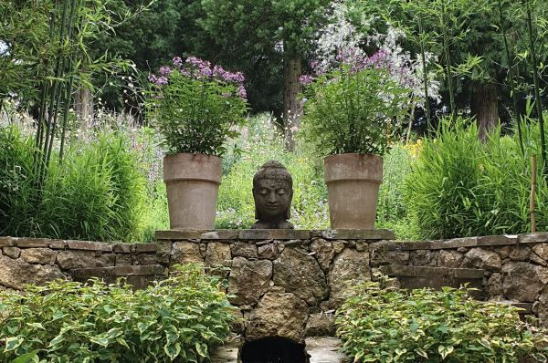 Garten mit Buddha Kopf