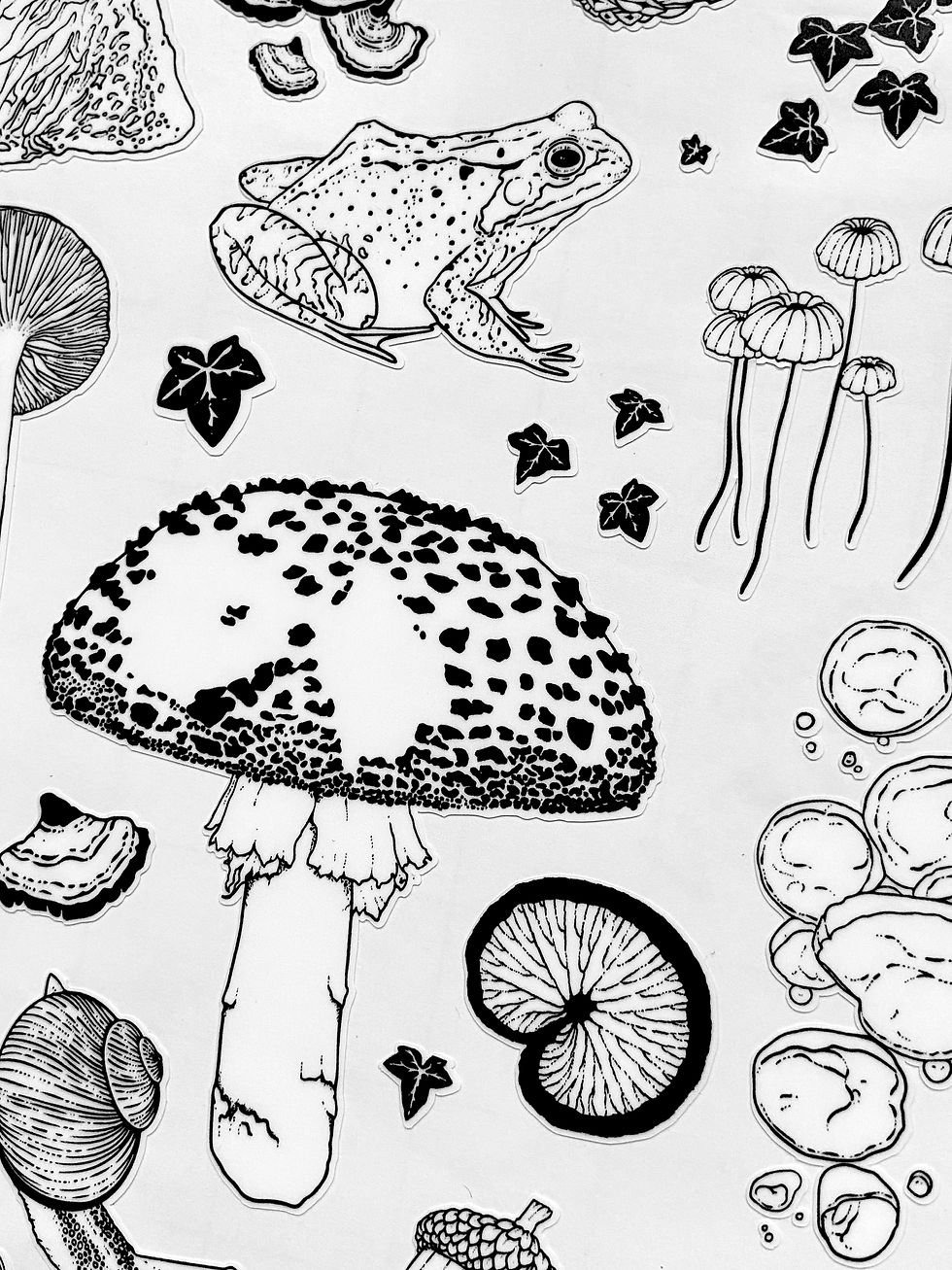 Thumbnail: Woodland Treasures - Vinyl Stickers (White)