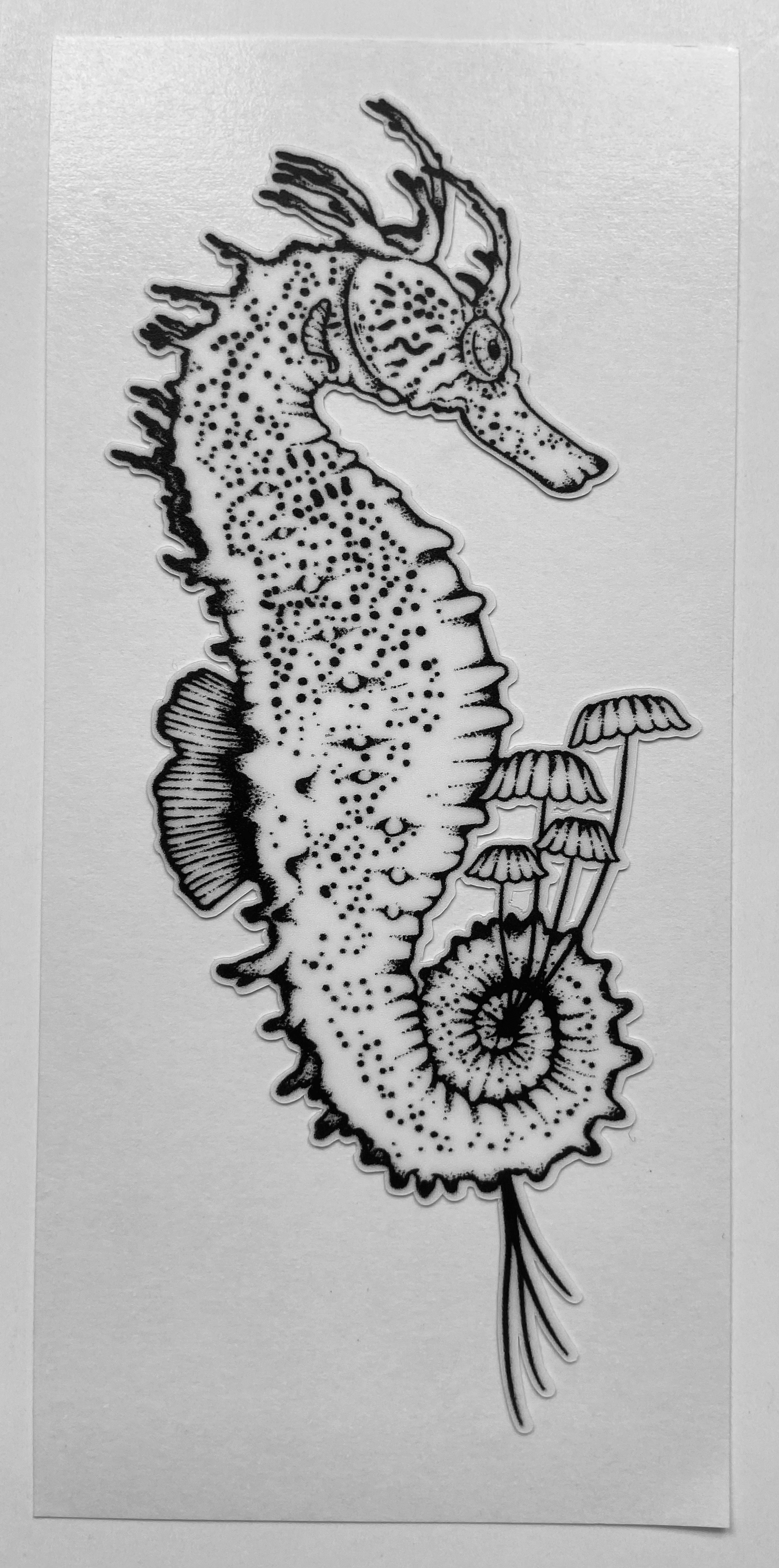 Seahorse - Vinyl Sticker