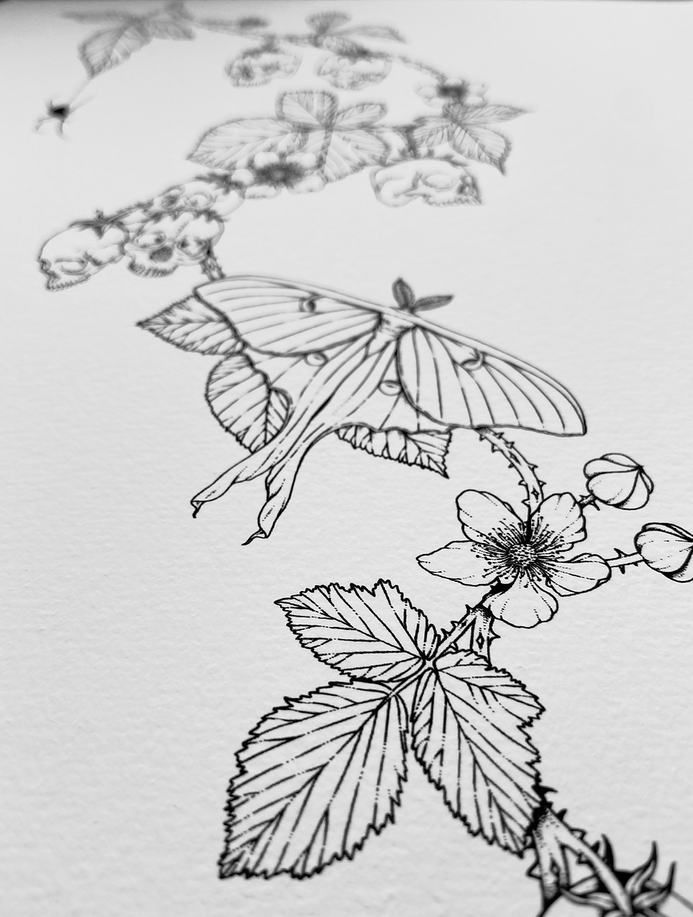 Thumbnail: Skullberry Brambles - Giclée Print