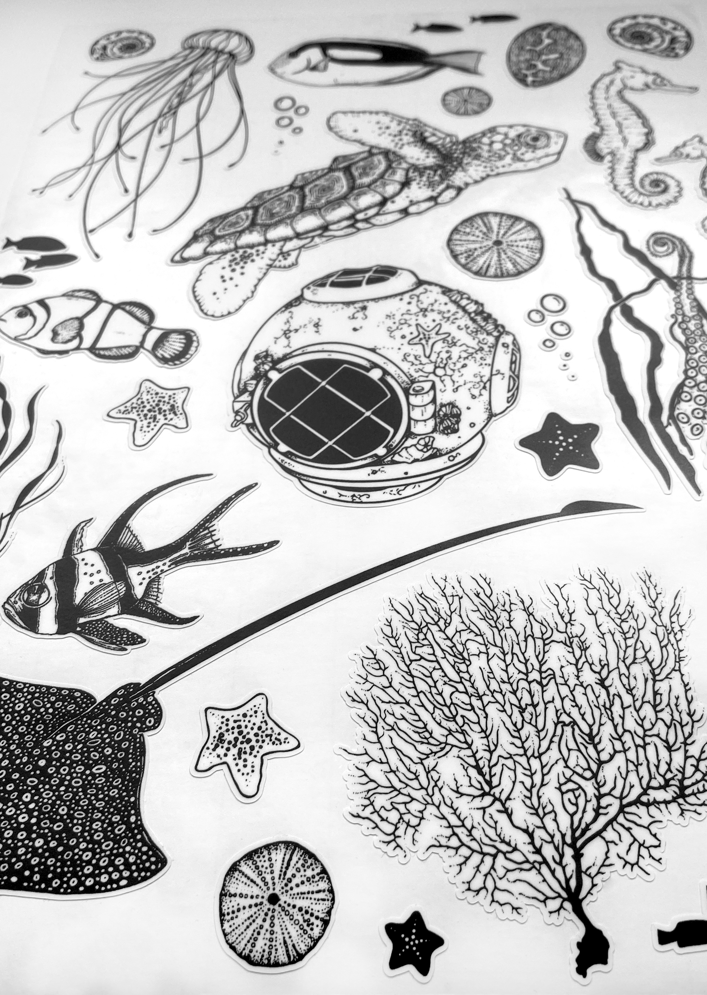 Coral Reef - Vinyl Stickers